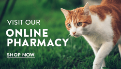 Online pet pharmacy at Homestead Veterinary Clinic in Baldwin, Wisconsin
